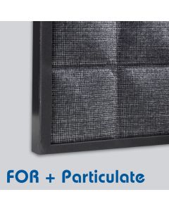 FOR Carbon + Particulate Filter